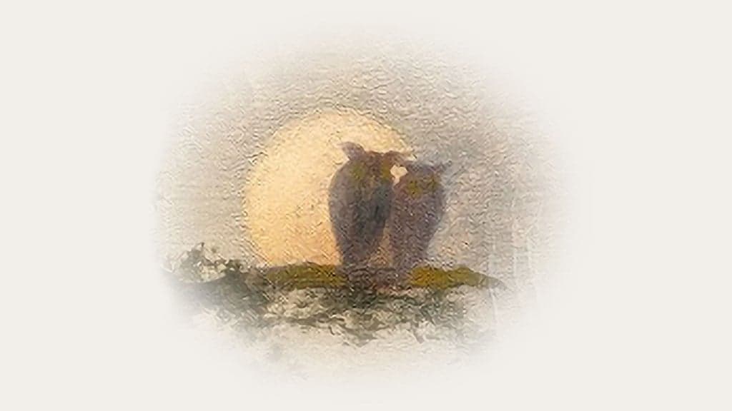 PAUL SIMON OFFICIAL VIP TICKET EXPERIENCES