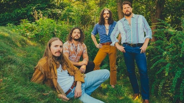 THE SHEEPDOGS