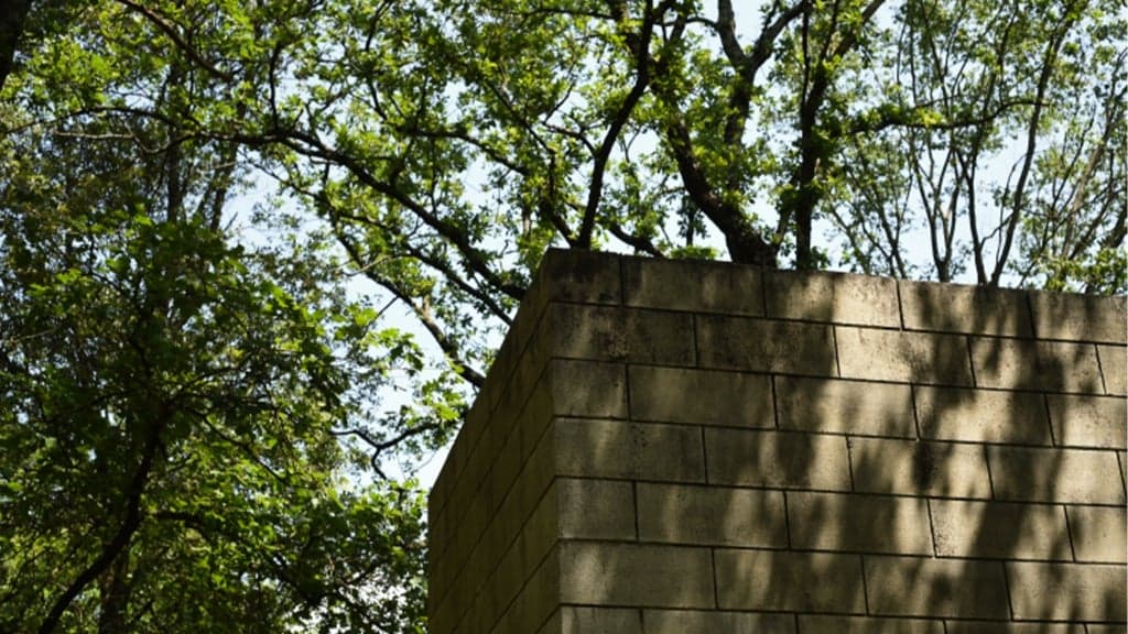 Visita Collezione Arte Ambientale e Giardini Storici