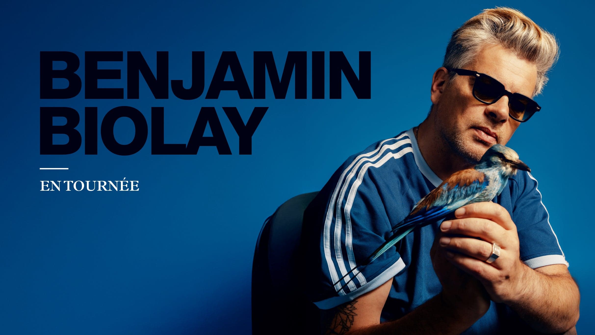 Benjamin Biolay