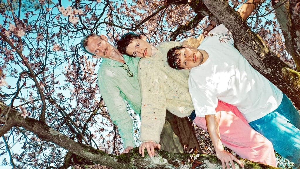 50 JAHRE KNUST: LÖWENZAHNHONIG