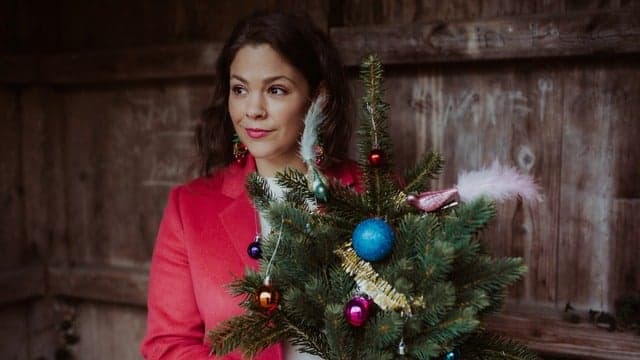 Fidi Steinbeck - Weihnachtskonzert