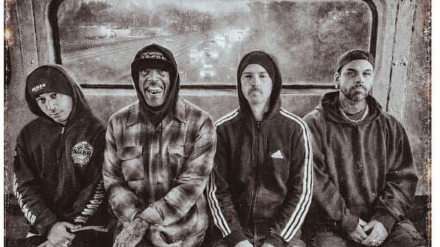 (Hed) P.E. & Cold