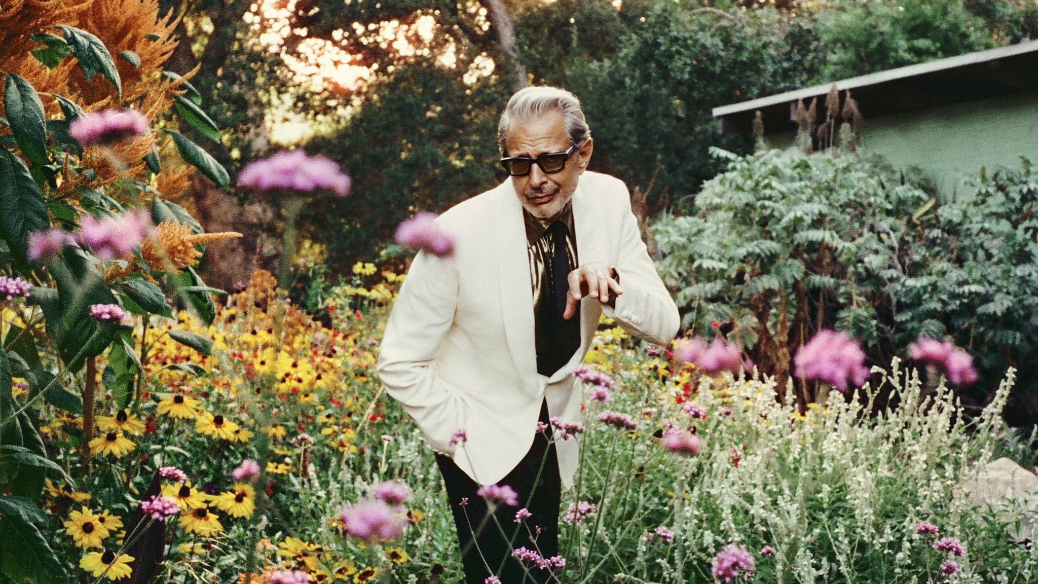 Jeff Goldblum and the Mildred Snitzer Orchestra