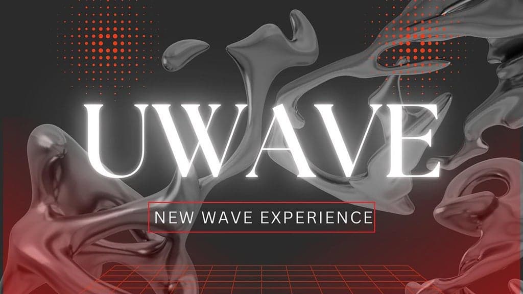 U WAVE (B) - New Wave Experience