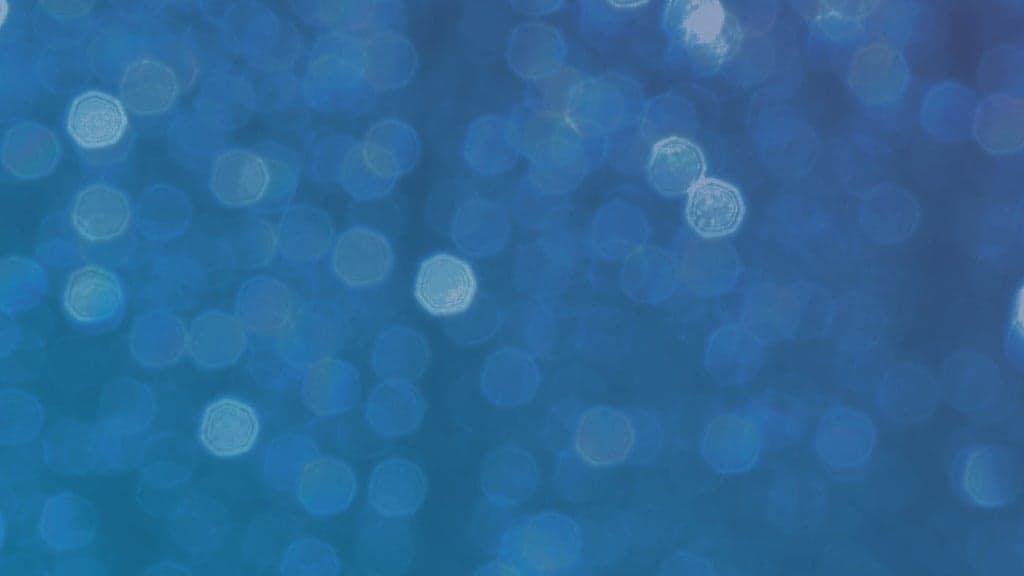 Scottish Gas Murrayfield 24/25